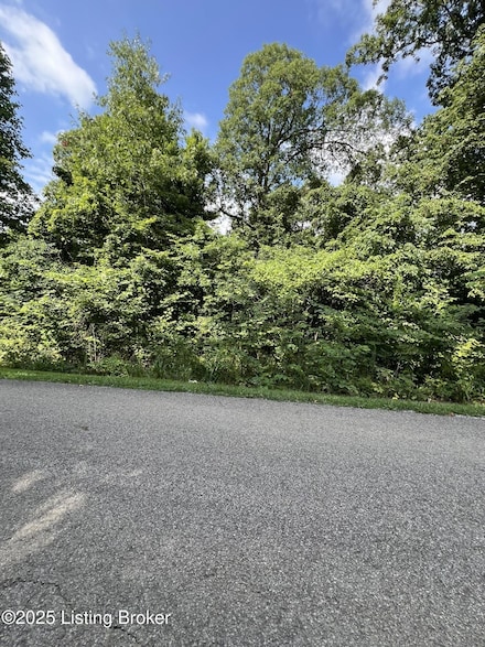 802 Stone Hill Rd, Mammoth Cave, KY 42259