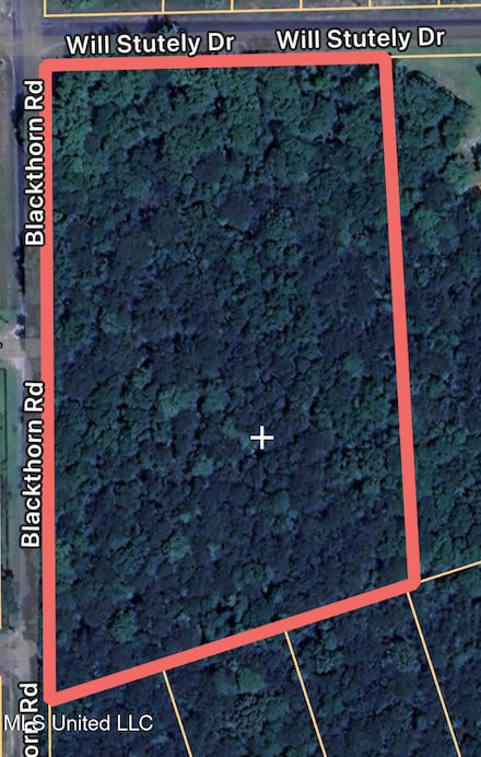 0 Corner Blackthorn Will Stutely Unit 4110516, Brandon, MS 39042