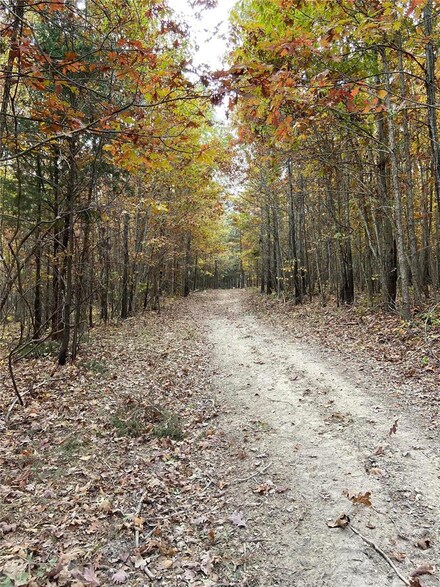 0 22 Acres M L - Highway A Unit 22068882, Eminence, MO 65466