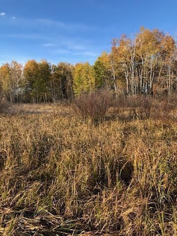 35618 560th St, Palisade, MN 56469