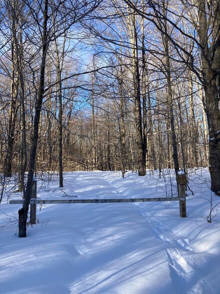 5918 Forest Hill Dr Unit Twin Peaks 1 Lot 2, Frederic Township, MI 49733