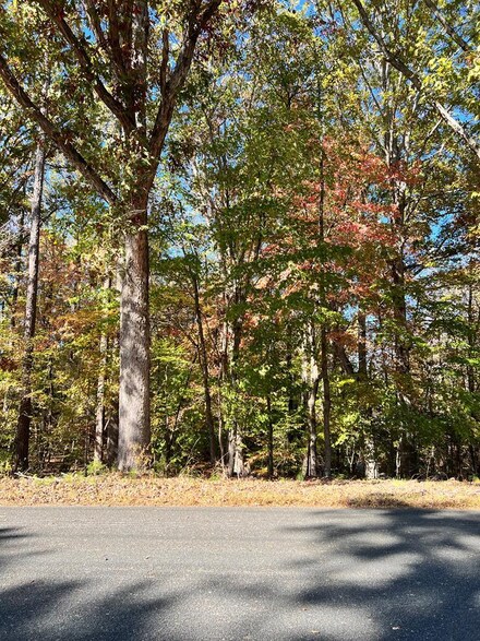 00 Brook Rd, Clinton, SC 29325
