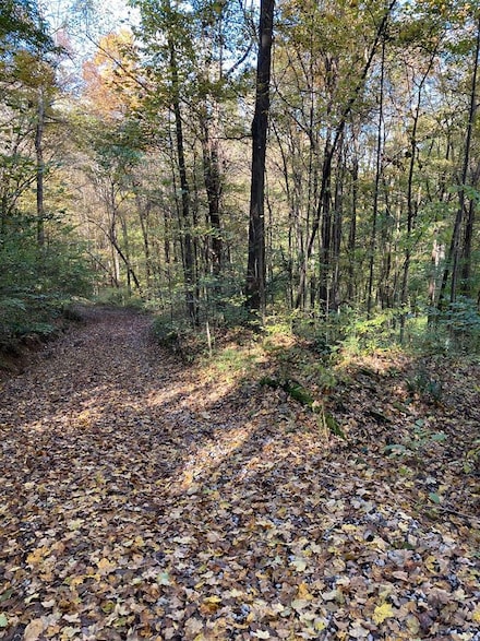 1111 Gettie West Rd, Morgantown, KY 42261