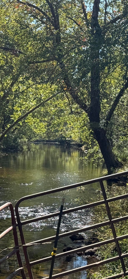 6402 Potts Creek Rd, Covington, VA 24426