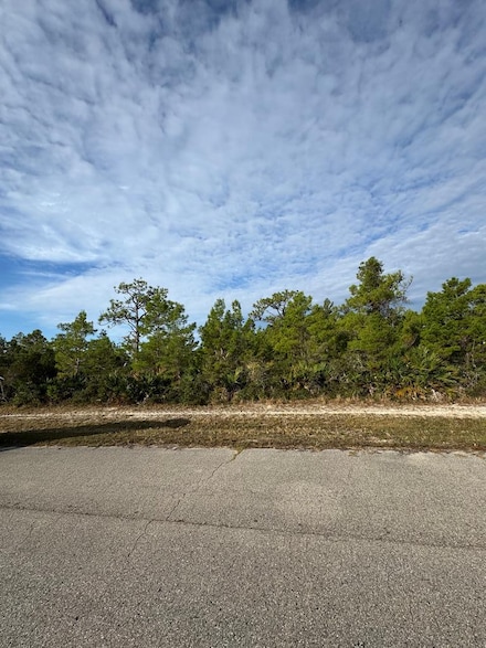 341 Gladiola Way, Eastpoint, FL 32328