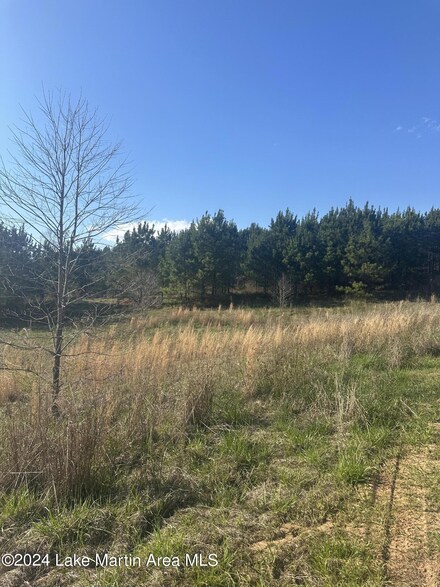 0 Parcel 1 Obed Loop, Dadeville, AL 36853