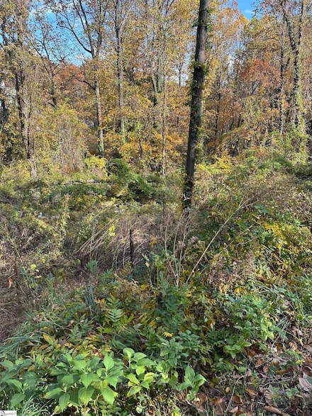 00 Altamont Rd, Greenville, SC 29609