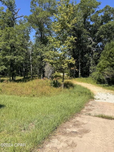 XXX Hwy 79, Vernon, FL 32462
