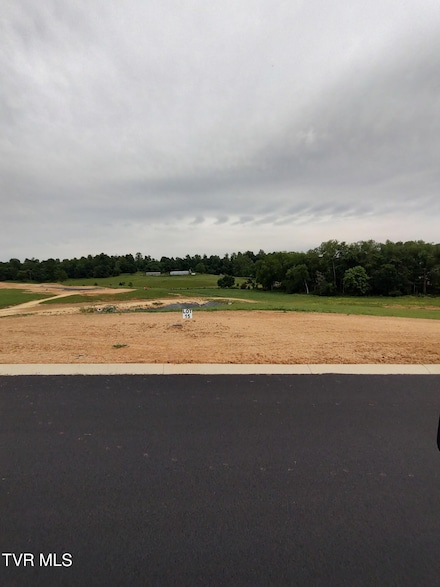 Lot 15 Steepleview Ct, Jonesborough, TN 37659