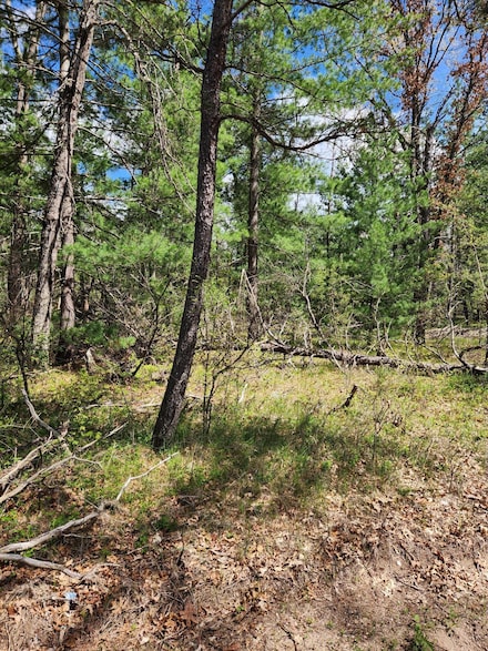 8950 Chatman St, Pleasant Plains Township, MI 49642