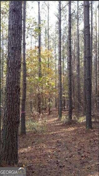 1047 Ponder Trammell Rd, Juliette, GA 31046