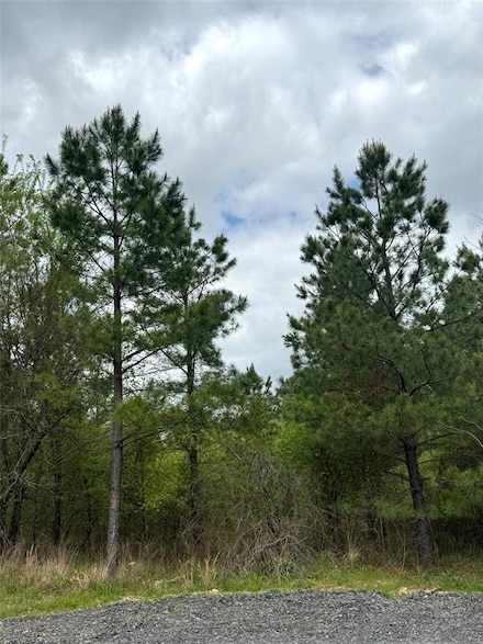 135 Turning Wood Ct, Hochatown, OK 74728