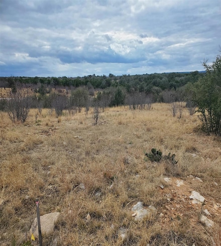 40 Southern Hills Ct, Graford, TX 76449