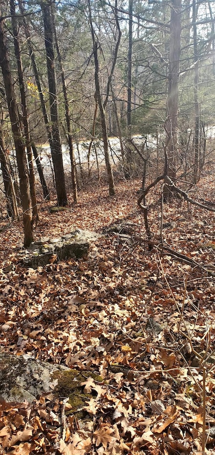 0 Arkansas 5 Unit 24008489, Calico Rock, AR 72519