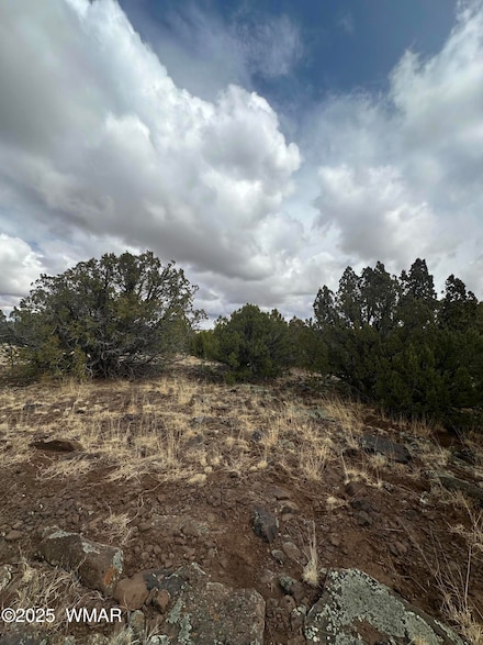 2093 McGihom Rd, Show Low, AZ 85901