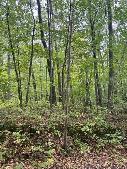 XXX Marble Dr, Cushing, MN 56443