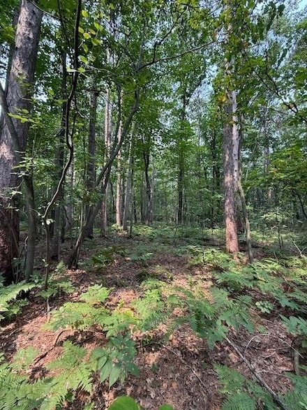 0 E Pine Tree Rd, Sturgeon Bay, WI 54235