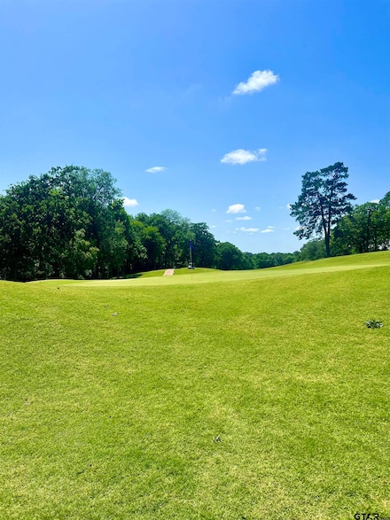 4212 Hogan Dr, Tyler, TX 75709