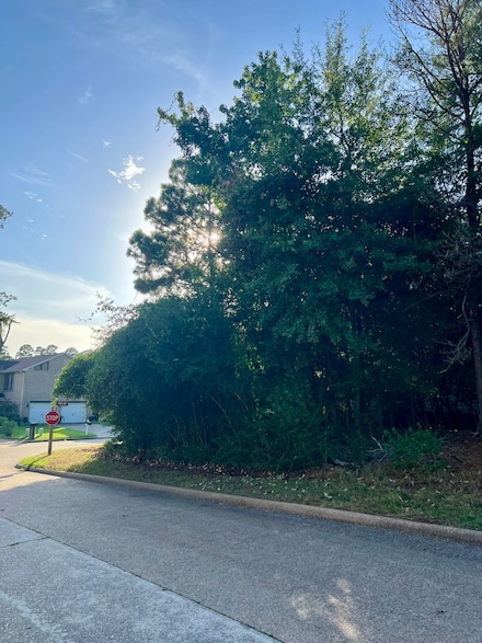 3102 Poe Dr, Montgomery, TX 77356