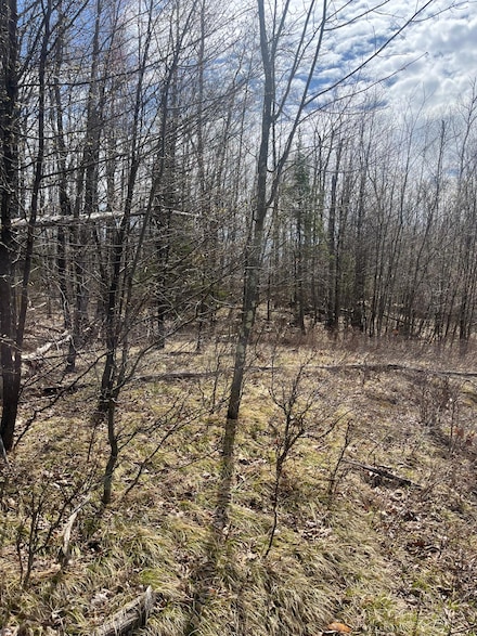 ON Nature Trail Rd, Townsend, WI 54175