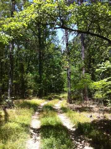 000 Arkansas 201, Norfork, AR 72658