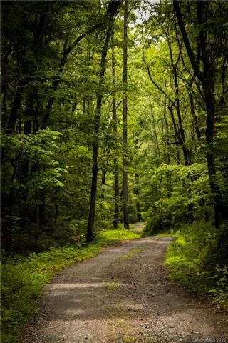 23 Mountain Tea Ln, Alexander, NC 28701