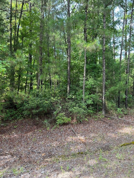 00 Columbia Road 36, Magnolia, AR 71753