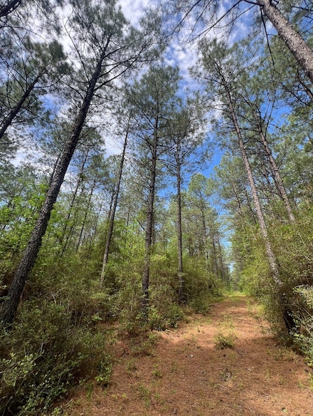 0 Transport Rd, Weston, LA 71251