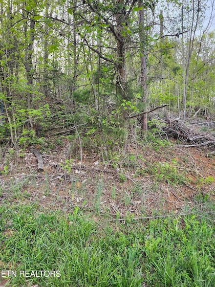 0 NE Lot #2 Walk In the Trees Dr Unit RTC2942089, New Market, TN 37820