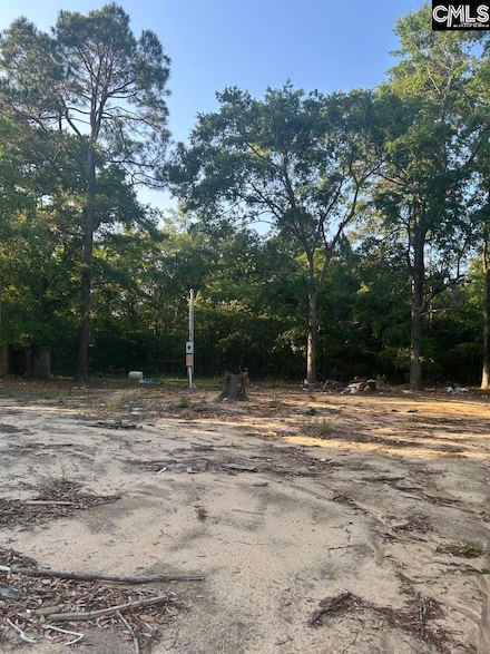 284 Swansea Rd, Swansea, SC 29160