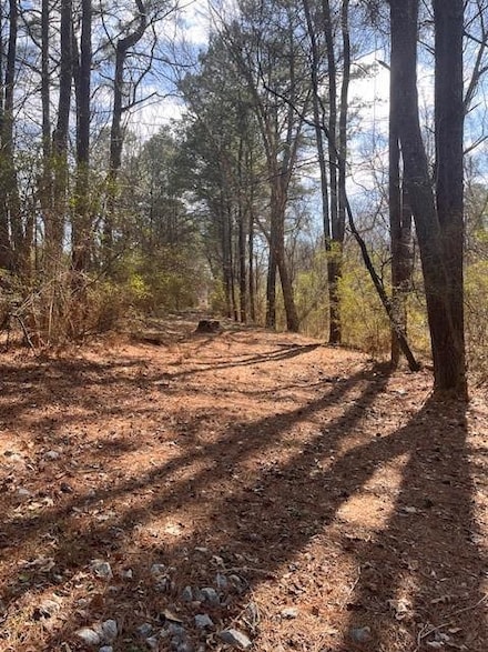 3210 Butner Camp Creek Pkwy, South Fulton, GA 30331