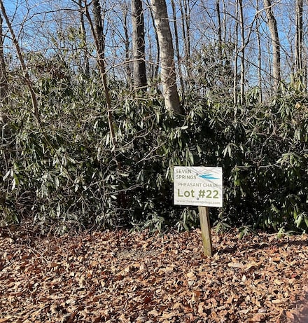 TBD W Pheasant Chase, Fancy Gap, VA 24053