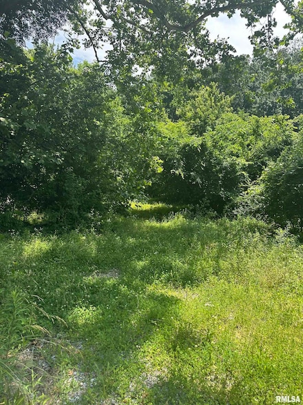 585 Berryville Rd, Jonesboro, IL 62952