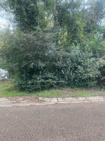 311 Pearl, Camden, AR 71701