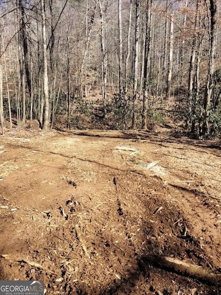 0 Bryant Creek Rd Unit 10454659, Ellijay, GA 30540