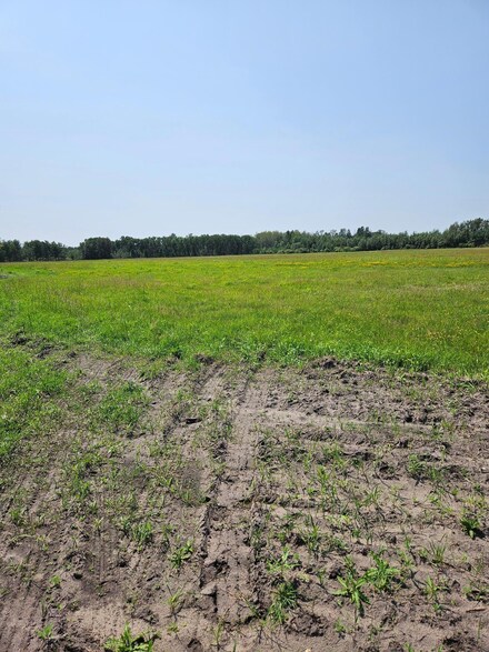 tbd 130th St, Norway Township, MN 56732