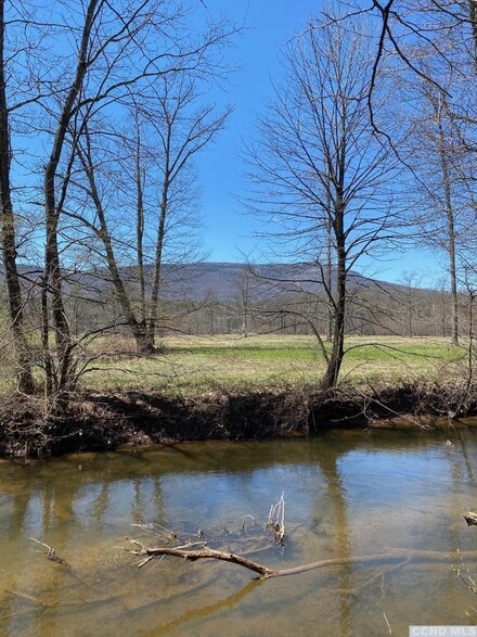 0 Ramsey School Rd, Catskill, NY 12414