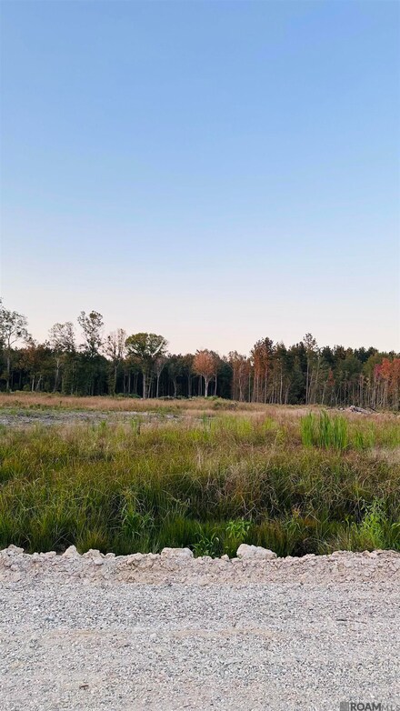 16457 Peacock Dr, Walker, LA 70785