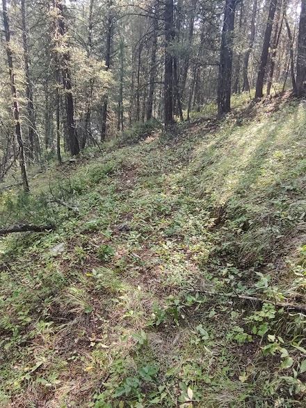 NKN Gonq Road Contract Mill Rd, Philipsburg, MT 59858