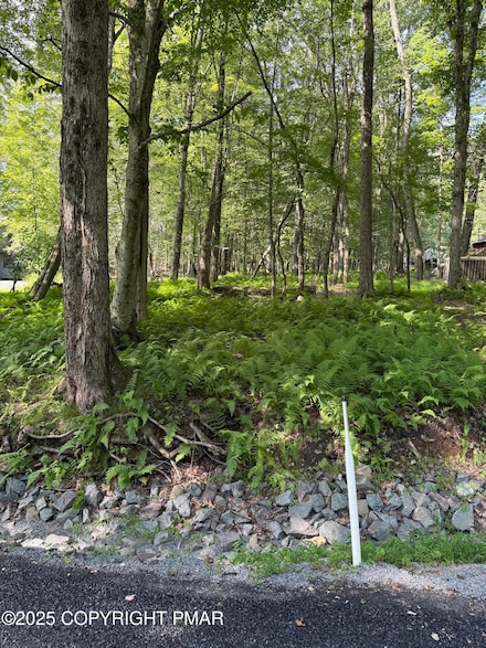 0 Oak Terr 227 Unit PM-134191, Pocono Lake, PA 18347