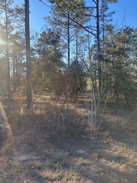 0 SW Seaweed Ave Unit 794306, Dunnellon, FL 34431