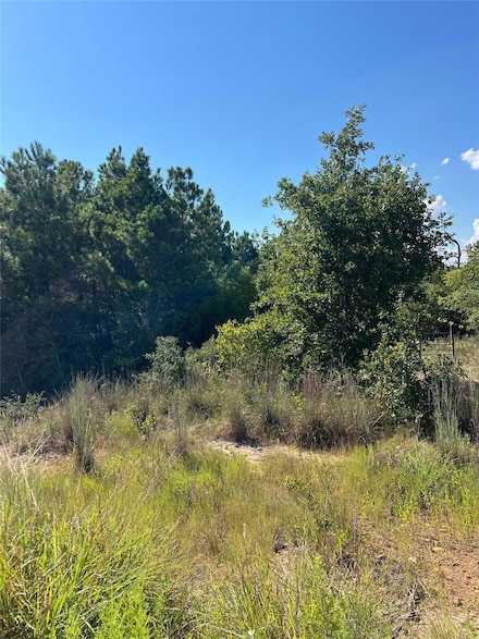 TBD Poi Ct, Bastrop, TX 78602