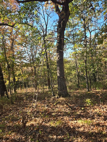 160 Lot Arden Ridge Hwy O, Ava, MO 65608