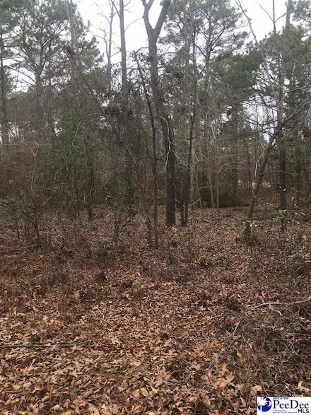 1841.5 Saluda Dr, Hartsville, SC 29550