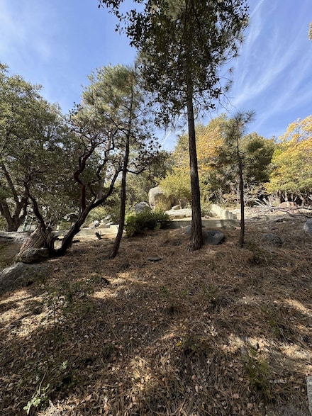 53642 Jeffery Pine Rd, Idyllwild-Pine Cove, CA 92549
