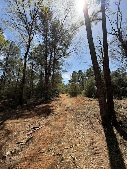 9758 Renfaire Dr, Plantersville, TX 77363