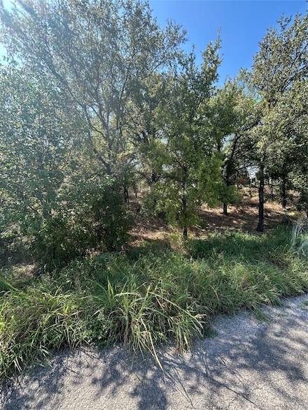 TBD Sam Houston St, Mineral Wells, TX 76067