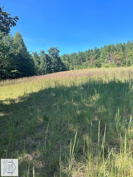 00 Scenic Dr, Patrick Springs, VA 24171