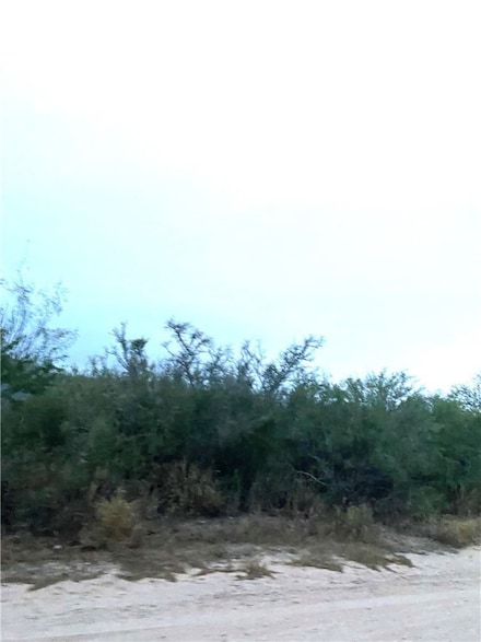 0 Cr 205--22 22 Acres(+ -) Unit 451627, San Diego, TX 78384