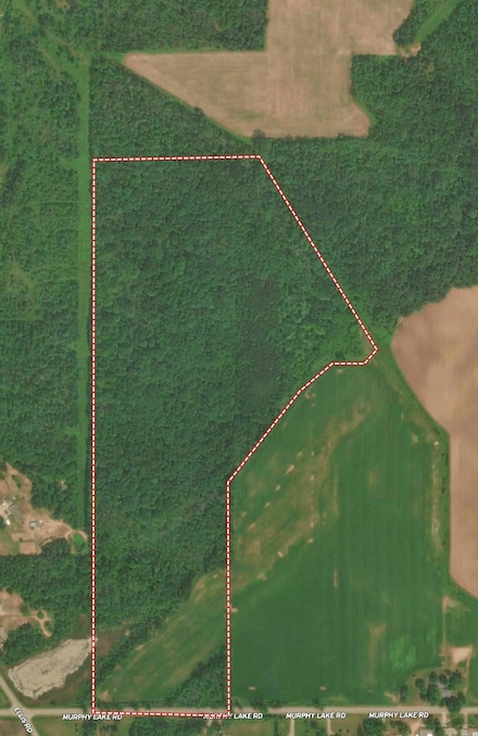 V/L Murphy Lake Rd, Millington Township, MI 48746